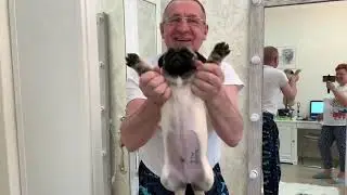 КАК МУЖ и СЫН ОТРЕАГИРОВАЛИ на ПОКУПКУ МОПСА!