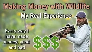 Making Money In Wildlife Photography