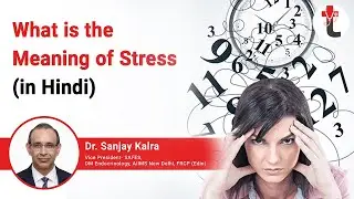What is the Meaning of Stress ( in Hindi) || Stress meaning in Hindi | Stress का हिंदी में अर्थ