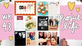 Project Life Process 2024- Week 43