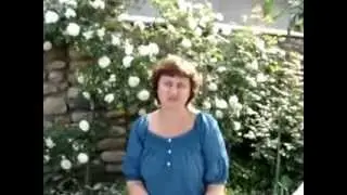 Учеба в Польше, советы для украинцев
