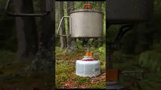 Дорогой газ - забудьте!