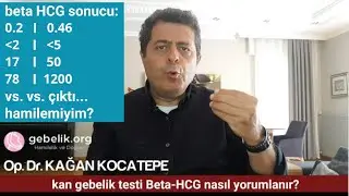 beta HCG sonucum 0.38, 0.50, 3, 8, 19, 80 vs. çıktı. Hamile miyim? Kimyasal veya dış gebelik miyim?