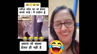 Mere Koi Izat Nhai | Tigger Is Great | #masti