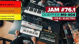 Jam 76.1 Doepfer MS-404 and TR-8 