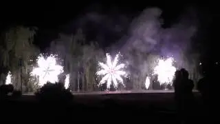 Видео Лотусы в работе 2