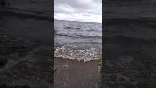 23 марта 2021 г.
