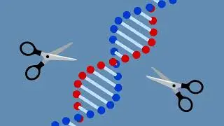 How personalized medicine and DNA editing could transform healthcare in the future