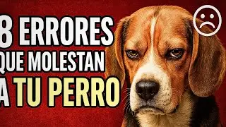 8 COSAS Que HACES y Tu PERRO DETESTA ¡Y NO Te Lo DICE!