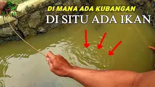 TERKEJUT di buatnya❗ joran lidi ku sampe menukik tajam