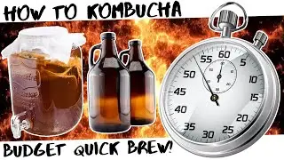 How to Brew Kombucha // Quick Brewing, Budget Friendly, and Tastes Better than the Store Stuff!
