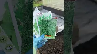 С Первомаем, сажаю зелень