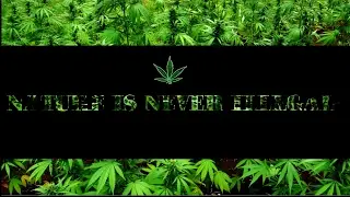 Photoshop Weed Cover Designing 2017 - The FunOmania