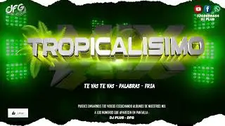 MIX : Tropicalisimo - Te vas Te vas - Palabras - Fria - DJ PLUS DFG