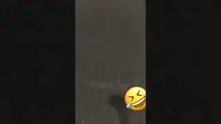 Bombazo gatista jajaja