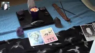 Connecting with the Wild Unknown Tarot