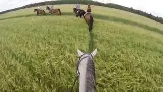 Ливень в Походе на Лошадях