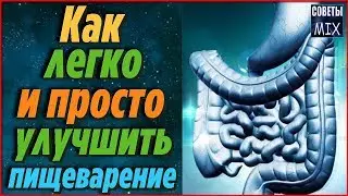 Как улучшить пищеварение с помощью самых простых продуктов Полезные советы для здоровья