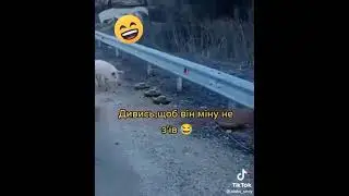 Смотри что бы он мину не съел