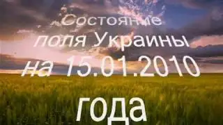 Состояние поля Украины на 15.01.2010