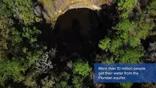 Working Forests -- Like This One Around Florida's Largest Sinkhole -- Benefit Water Quality