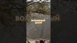 Экскурсия «Волшебный Дахаб» 🏜️🐪 