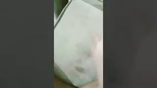 ٣ سبتمبر ٢٠٢٤