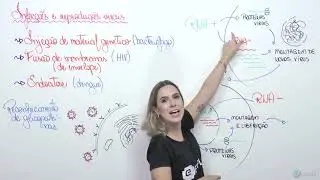 BIOLOGIA CELULAR - REPLICAÇÃO VIRAL E TIPOS DE INFECÇÃO | Prof. Cinthia