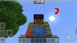 Stupid Minecraft Video