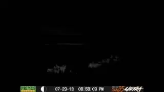 franklin chasing big dog.wmv
