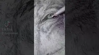 Wolf's Eye Looking at You!