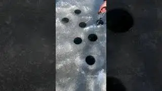 Вот это монстр сом! Вот это рыбалка!