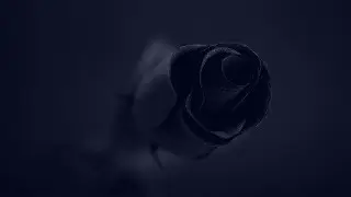 21 Savage x Quavo Type Beat - ''Black Roses'' | Dark Trap Instrumental