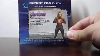 Avengers Endgame Exclusive Full Security Clearance Priority ID
