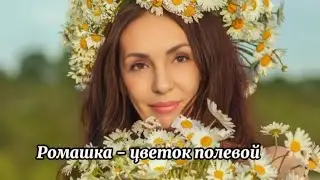 Песня «Ромашка - цветок полевой»