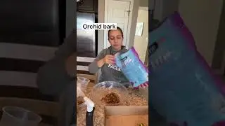 Orchid rescue here we come 