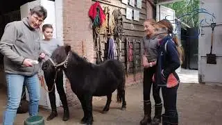 Ja en nee met Estelle Vlog 140