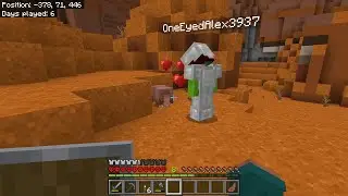 Minecraft | First Hardcore World