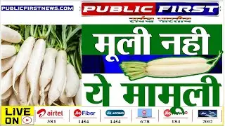 #MOOLI । मूली की खेती ऐसी – आम के आम गुठलियों के दाम जैसी।