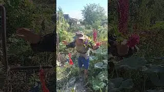 #витямитя