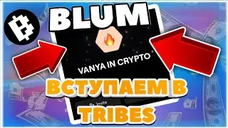 Срочно вступаем в Tribes! Новое обновление в  Blum и другие новости проекта!