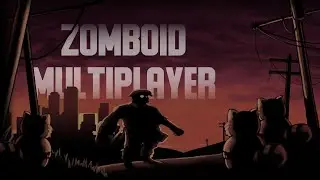 Project Zomboid multiplayer experience