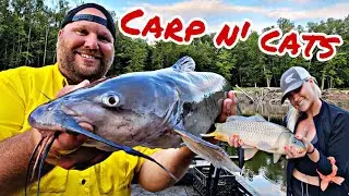Chasing CATFISH And CARP On The River w/ TeraFishing