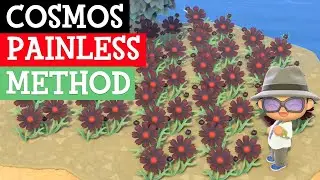25% chance at Black Cosmos in Animal Crossing (How to breed Black Cosmos in ACNH)
