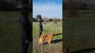 Sharon and Leia loose leash Jan 2 2022