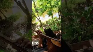 The riff that I've always avoided... appeared to be great!