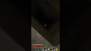 Bdubs Survives an Assassination Attempt