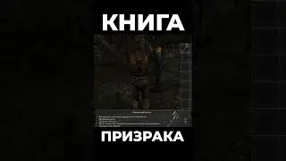 Хроники Миртаны: Архолос ➤ Книга призрака 