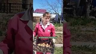 Как не перекапывать смотрите на канале. 