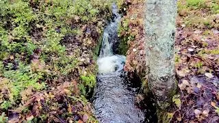 Relaxing  Water Sounds